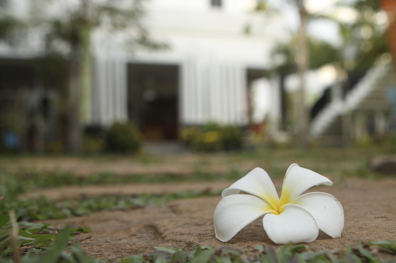 Hotel Blue Spring Boutique Siem Reap Exteriér fotografie